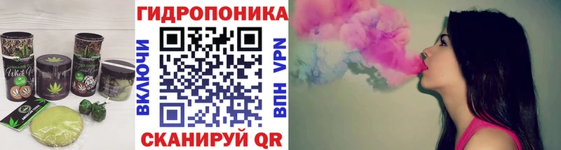 Canna-Cookies марихуана Закаменск