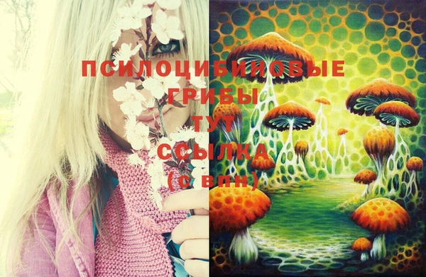 spice Алексеевка
